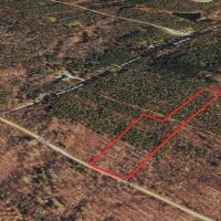 6 acre Building Lot and Recreational Land in Arkport NY Neu Road images 3