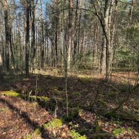 6 acre Building Lot and Recreational Land in Arkport NY Neu Road images 4