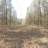 1300 Acres public land Alexander - Deer & Turkey hunting at Burke, GA