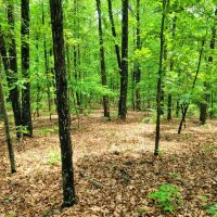 67-acre retreat images 3