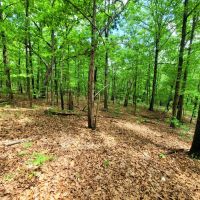 67-acre retreat images 5