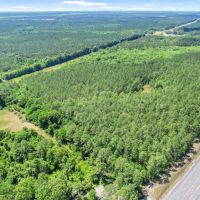 104 Acres on Nursery PL Road in Glynn County
