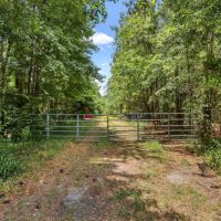 104 Acres on Nursery PL Road in Glynn County images 2