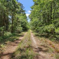 104 Acres on Nursery PL Road in Glynn County images 5