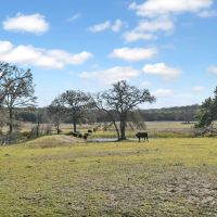 New Property - FIREFLY RD. Salado TX images 3