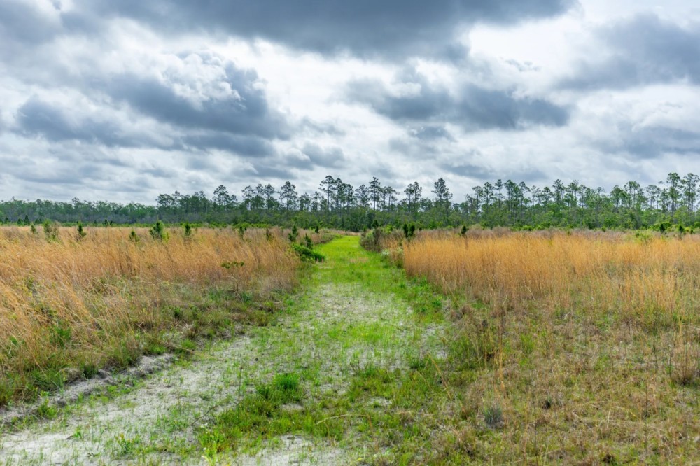 Bay County 803 featured image