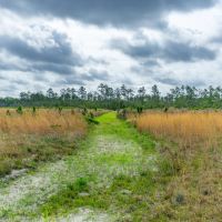 Bay County 803