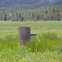 Stone Coal Valley Ranch images 3