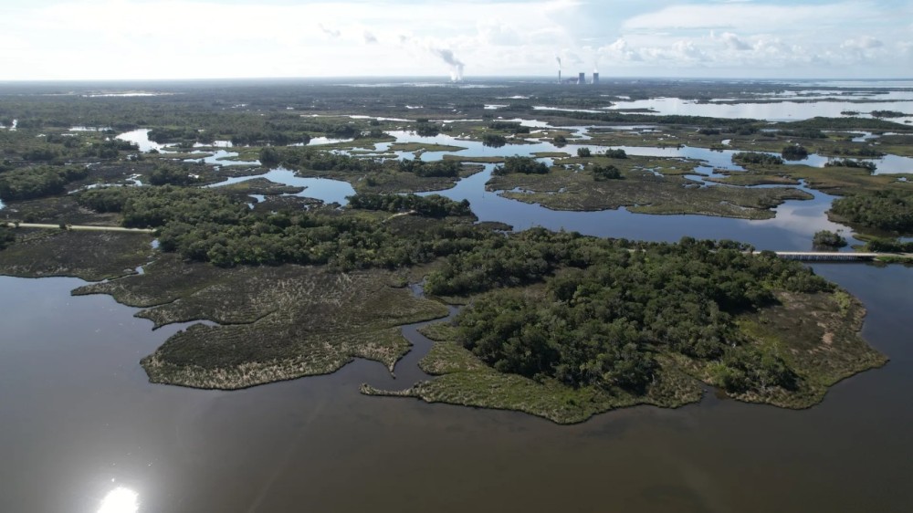 Levy County Islands featured image