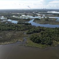 Levy County Islands