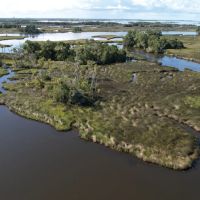 Levy County Islands images 4