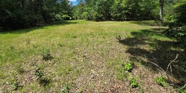 72 Acres in Pearl River County in Poplarville MS featured image