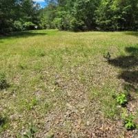 72 Acres in Pearl River County in Poplarville MS