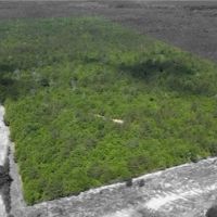 72 Acres in Pearl River County in Poplarville MS images 2