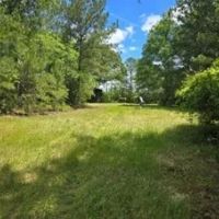 72 Acres in Pearl River County in Poplarville MS images 3
