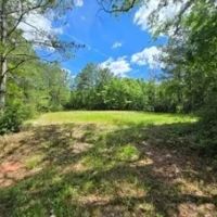 72 Acres in Pearl River County in Poplarville MS images 4