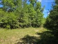 72 Acres in Pearl River County in Poplarville MS images 5