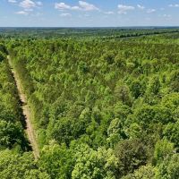 12.9 acres of Recreational Timber Land For Sale in Warren County NC images 4