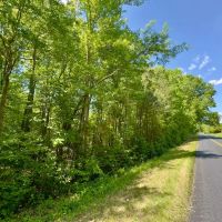 12.9 acres of Recreational Timber Land For Sale in Warren County NC images 5