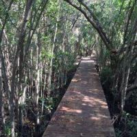 Alligator Creek 3,086 acres hunting land in Baker, GA images 2