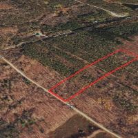 8 acre Building Lot and Recreational Land in Arkport NY Neu Road images 3