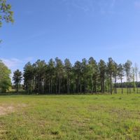 LA - Caldwell 27 acres - images 5