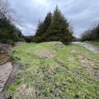 120 Acres - Eagle Creek Hunting Land - Holt County Nebraska images 2