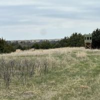 120 Acres - Eagle Creek Hunting Land - Holt County Nebraska images 3
