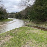 120 Acres - Eagle Creek Hunting Land - Holt County Nebraska images 5