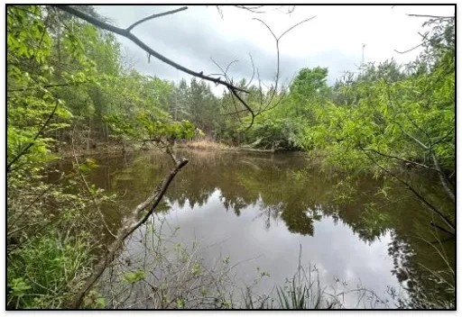 53.2 Acres in Simpson County in Mendenhall MS featured image