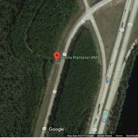 3,986 acre for hunting turkey and waterfowl Altama Plantation in Glynn, GA