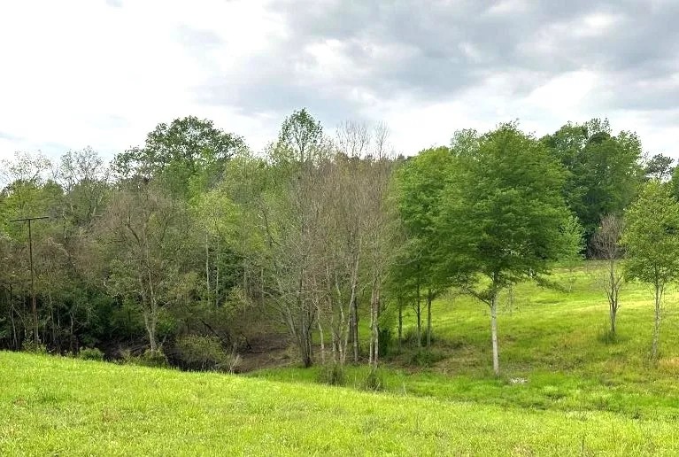 40 Acres in Simpson County in Mendenall MS featured image