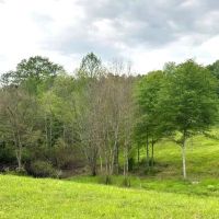 40 Acres in Simpson County in Mendenall MS