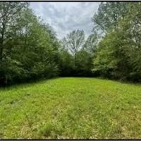 40 Acres in Simpson County in Mendenall MS images 2