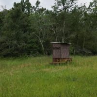Boeuf 53 images 3