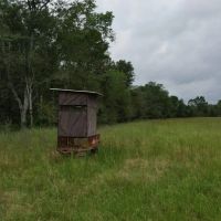 Boeuf 53 images 4