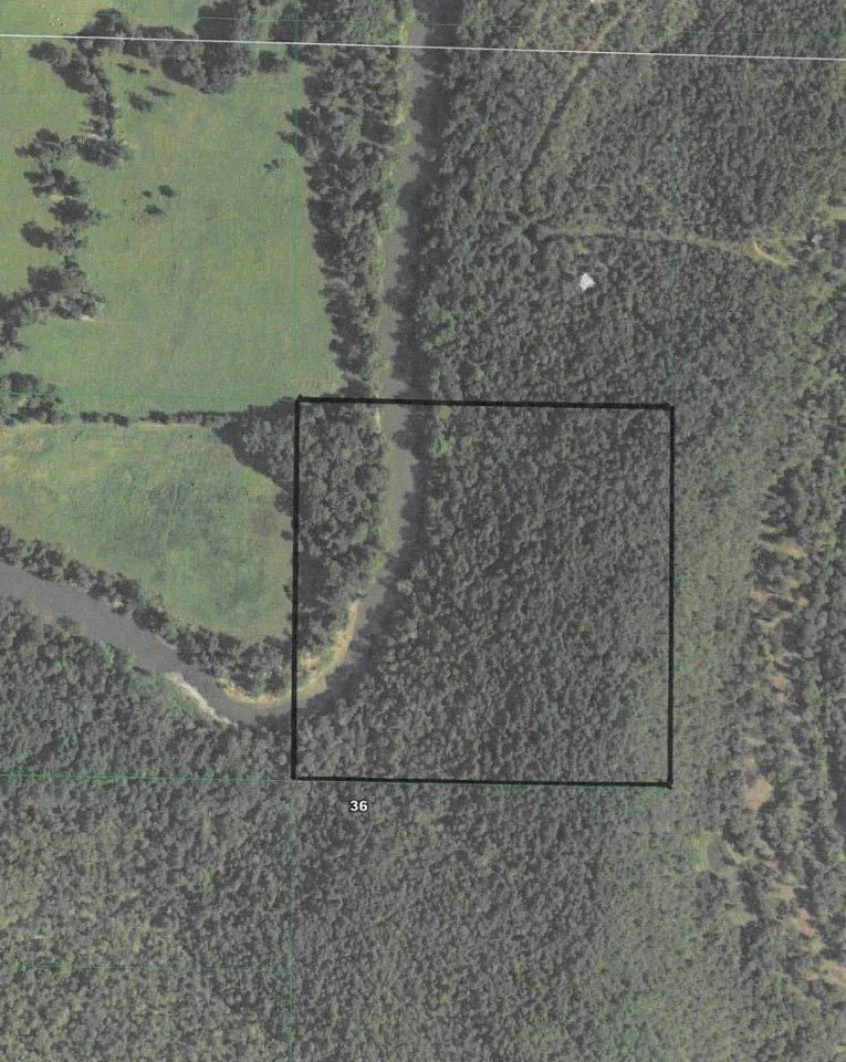 40 ACRES WITH KIAMICHI RIVER FRONTAGE Hunting Land for Sale