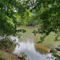 40 ACRES WITH KIAMICHI RIVER FRONTAGE images 4