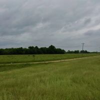 Boeuf 80 images 3