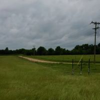 Boeuf 80 images 4