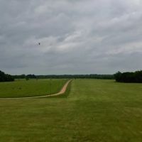 Boeuf 80 images 5