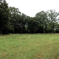 Beautiful Off Grid Property Bagwell TX images 4