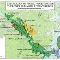 Altamaha- 3,154 acres WMA Deer, Turkey, and Dove Evans, GA