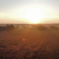 9 Acre Homestead in Lawrence County AL