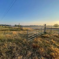 9 Acre Homestead in Lawrence County AL images 4