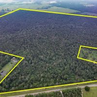341 Acres FM 1475