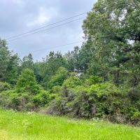 341 Acres FM 1475 images 2