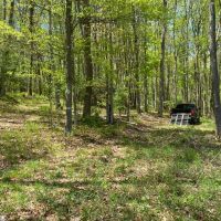 Alder Run Wilderness images 2