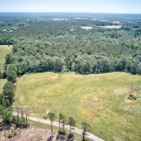 Small Hunting Property with Homesite in Amite County images 2