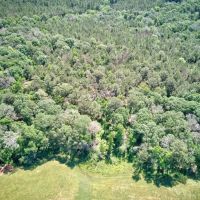 Small Hunting Property with Homesite in Amite County images 4